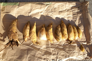 DSC00457.JPG